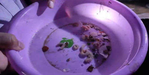 威海市推進水產健康養殖 示范場驗收與原良種場考察并舉，助力內陸水產養殖銷售提質增效